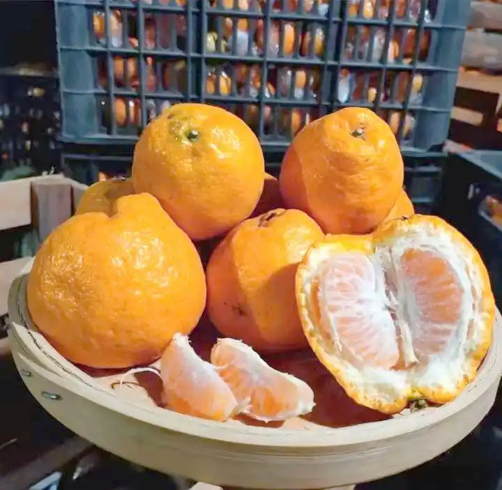 ‌瓯柑及衍生品