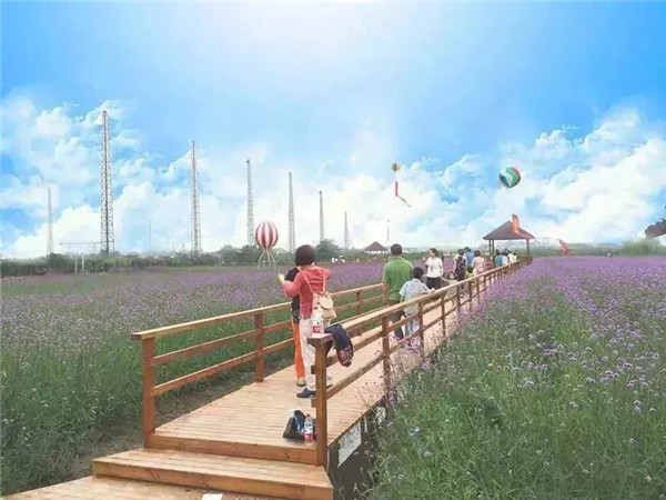 瑞安绿健生态农庄