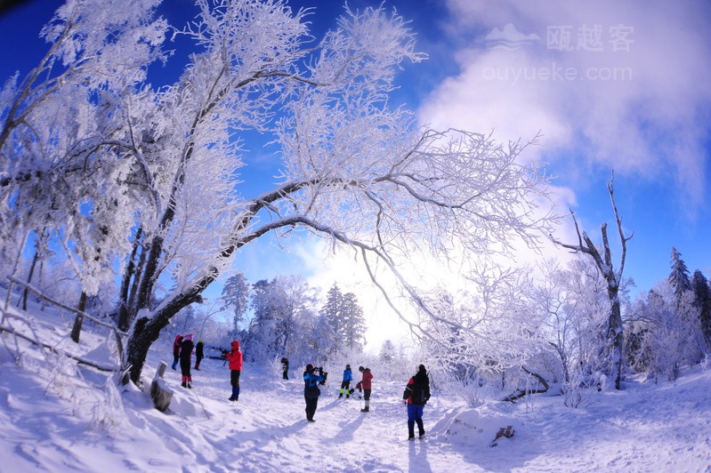 吉林北大湖山林