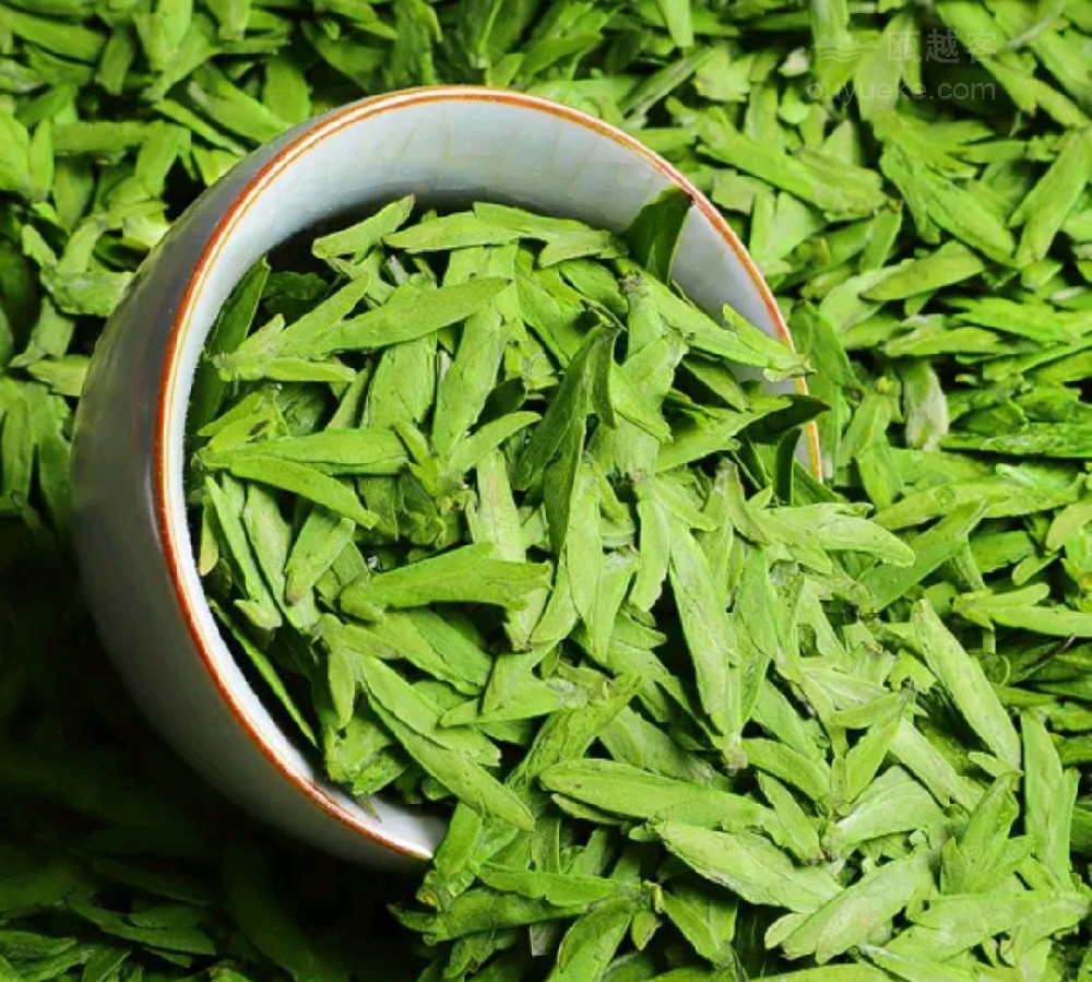乌牛早茶